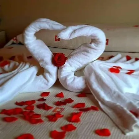 Hotel Le Olive 3*