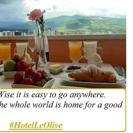 호텔 Le Olive 3*