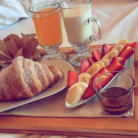 호텔 Le Olive 엘바산