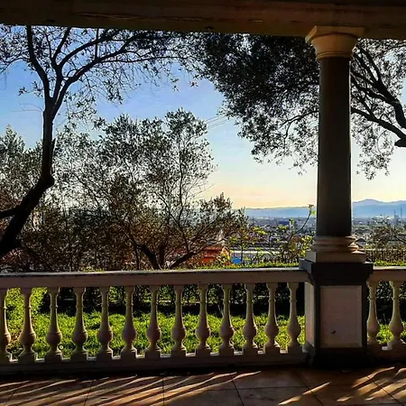 Le Olive אלבסאן