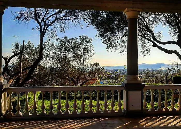 Le Olive 爱尔巴桑